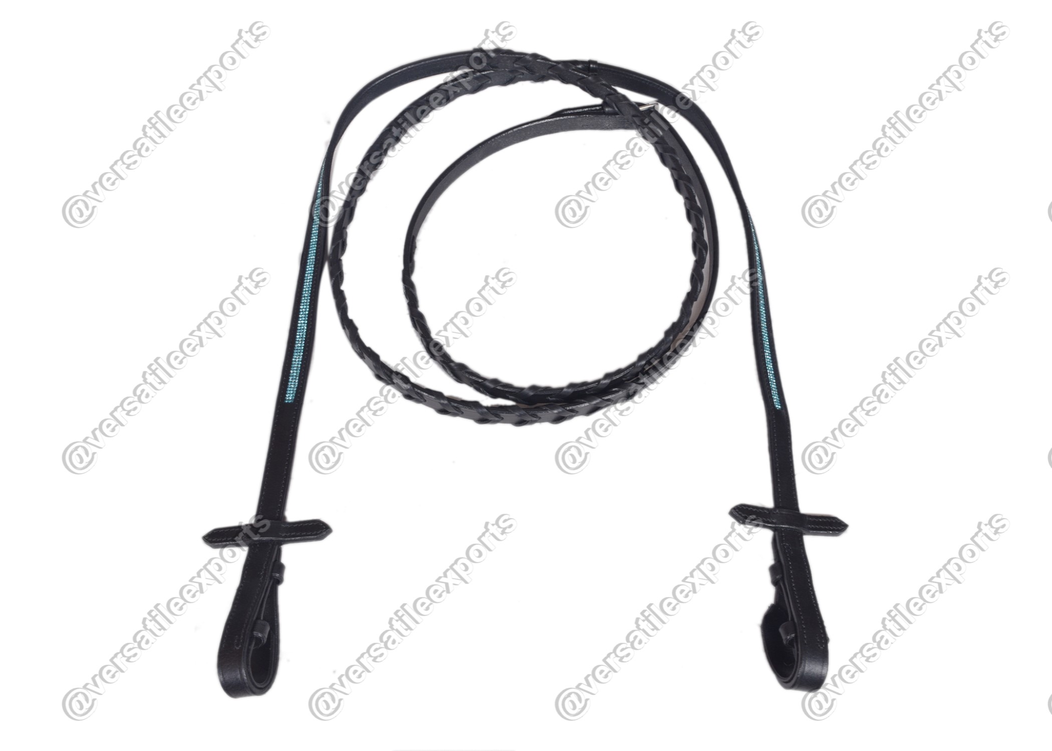 Bridle Shiny